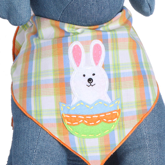 Easter Bunny on Egg