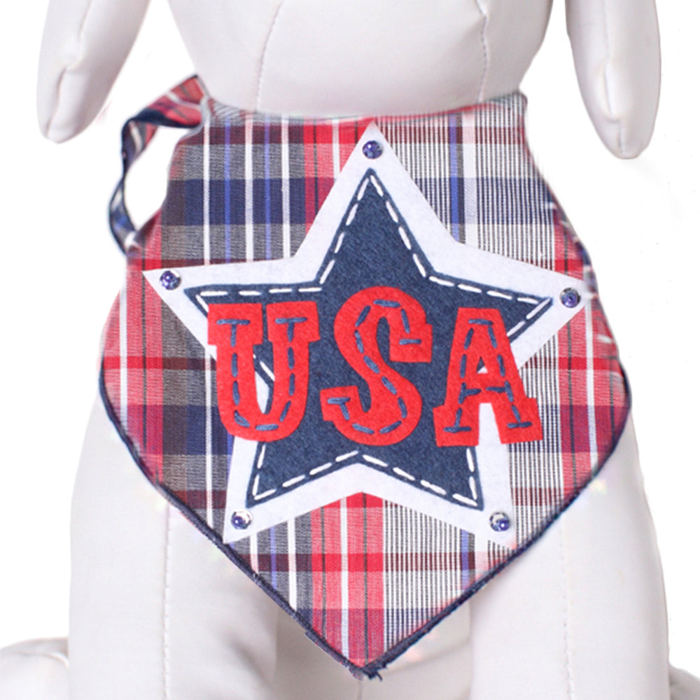 USA Star