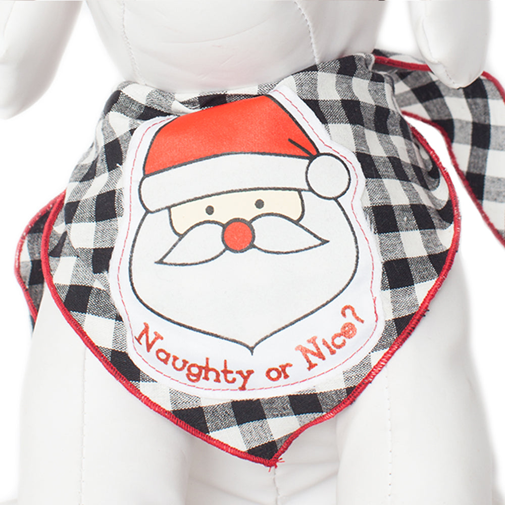 Santa Naughty or Nice