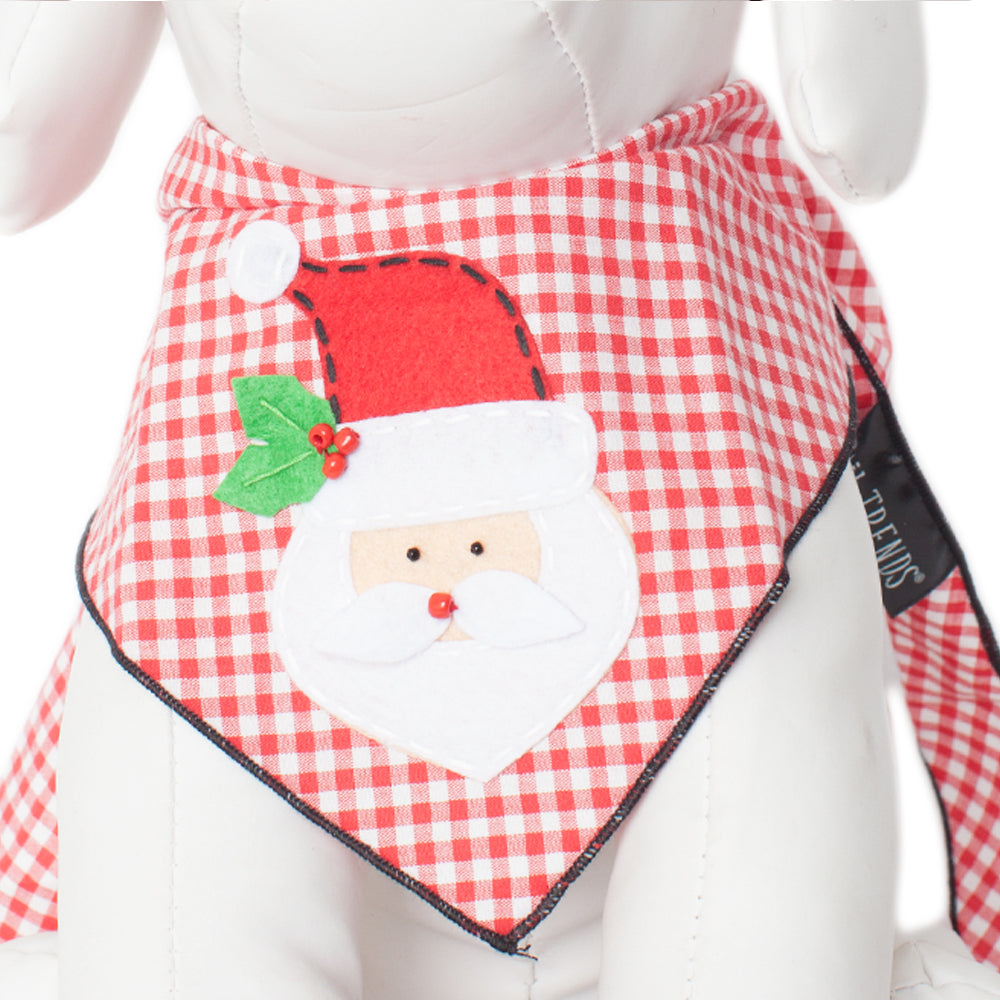 Santa Claus Mistletoe