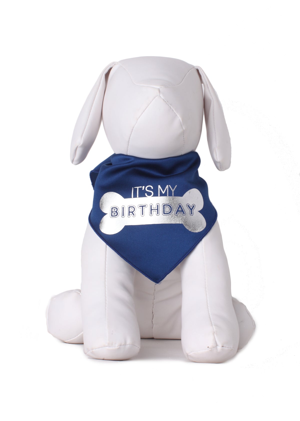 IT'S MY BIRTHDAY- Bone- Silver