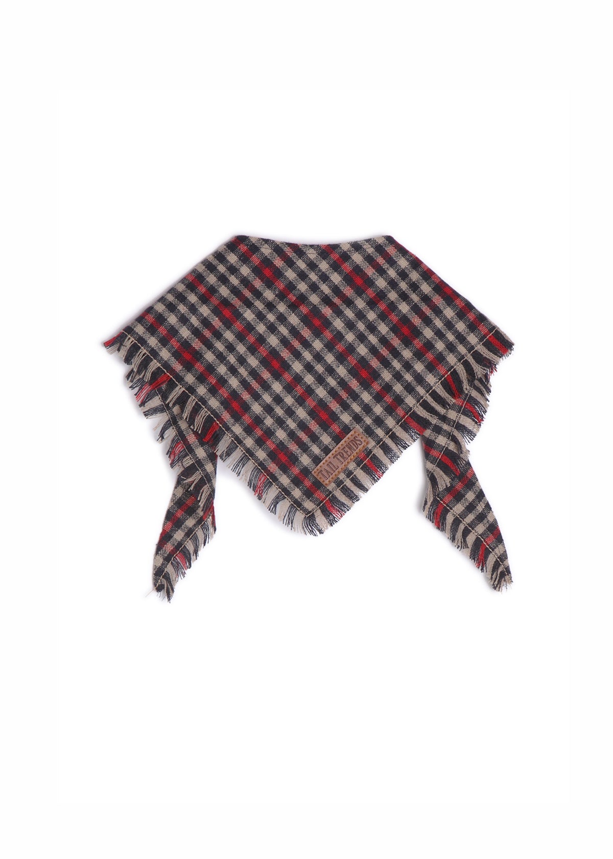 Red Plaid Frayed