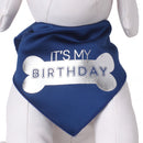 IT'S MY BIRTHDAY- Bone- Silver