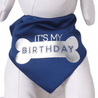 IT'S MY BIRTHDAY- Bone- Silver