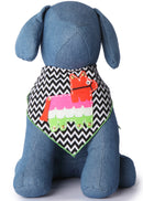 Pinata Dog Bandana