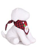 Santa Claus