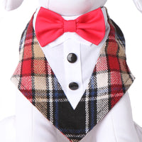 Tubbs Bow Tie Formal Bandana