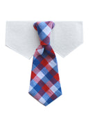Wednesday- Red,White,Blue Neck tie