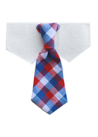 Wednesday- Red,White,Blue Neck tie