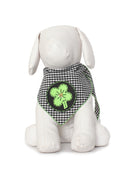 Lucky Clover Patch