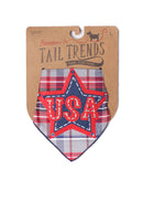 USA Star