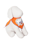 Spooky Friends Dog Bandana Halloween Pet Dress-Up Accessory