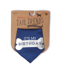 IT'S MY BIRTHDAY- Bone- Silver