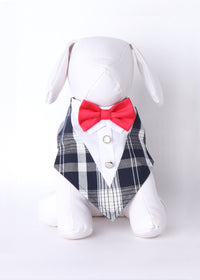 Herman Bow Tie Formal Bandana