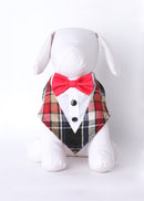Tubbs Bow Tie Formal Bandana